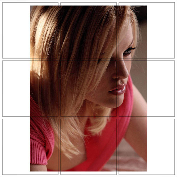 Print 001