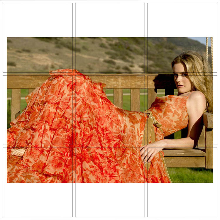 Print 019