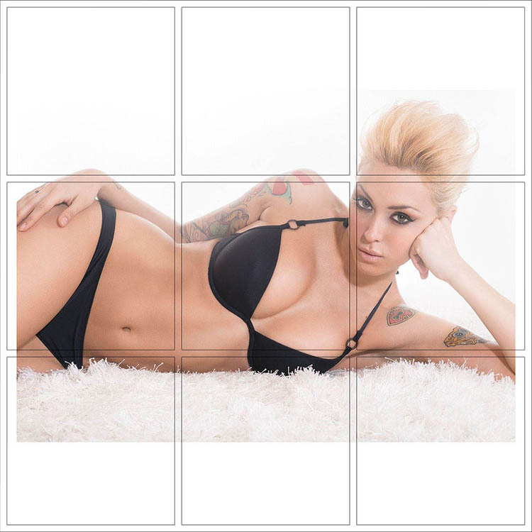 Print 013