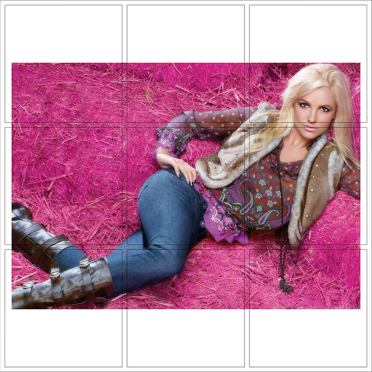 Print 029
