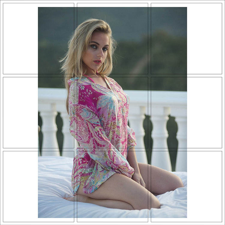 Print 065