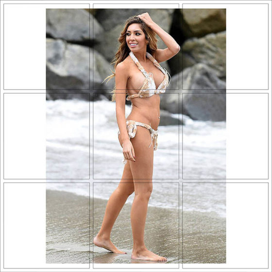 Farrah Abraham - 088