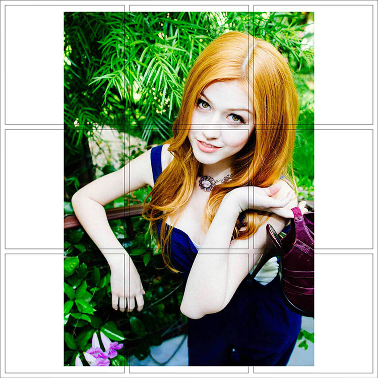 Print 013