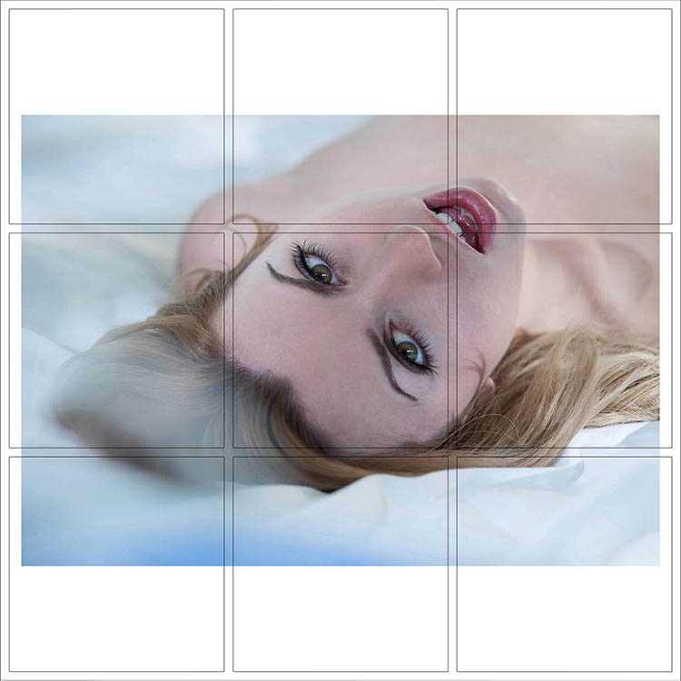 Print 079
