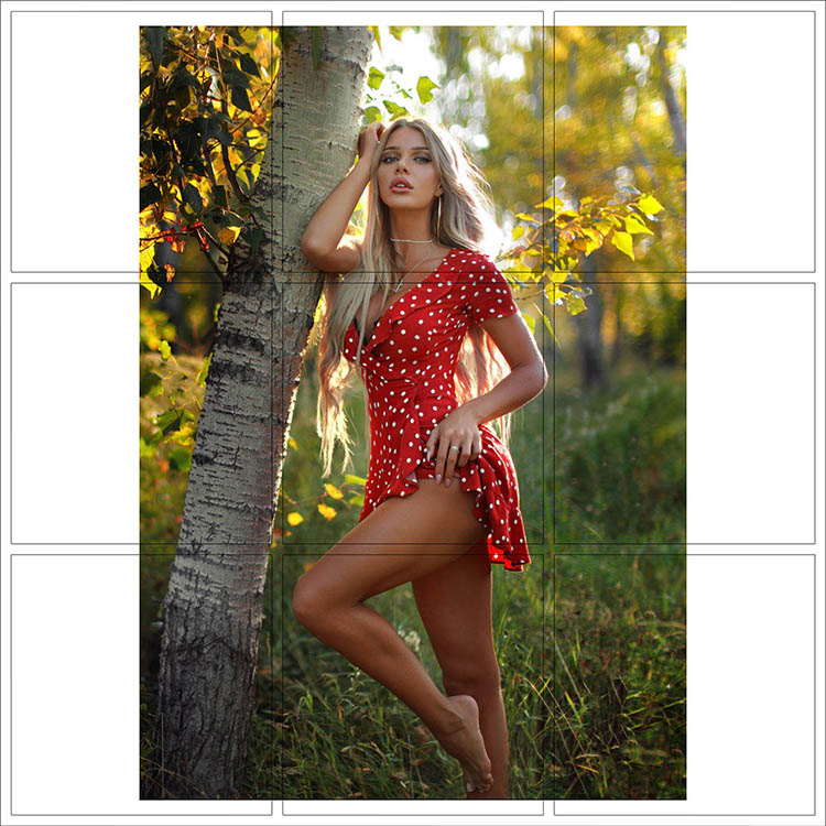 Print 102