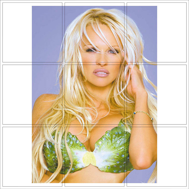 Print 025