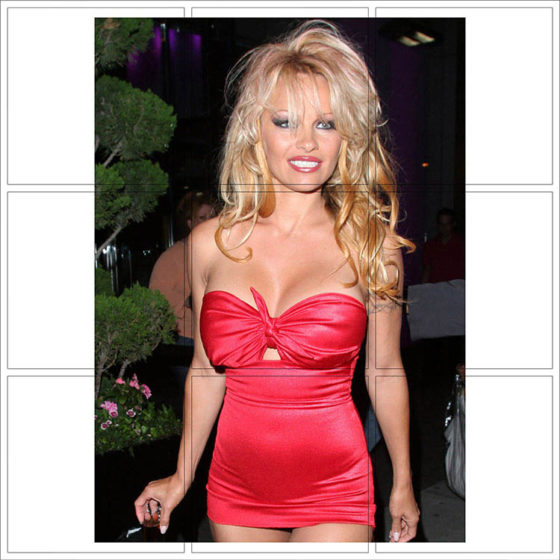 Pamela Anderson - 076