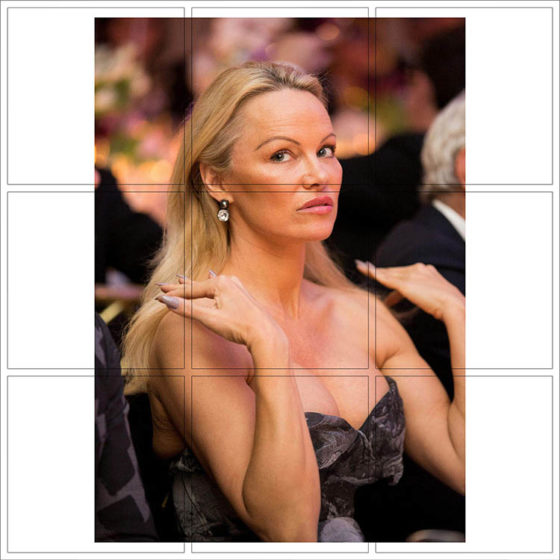 Pamela Anderson - 105
