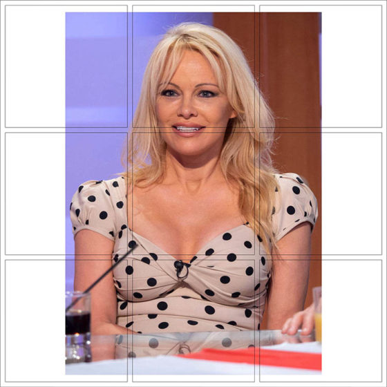 Pamela Anderson - 110