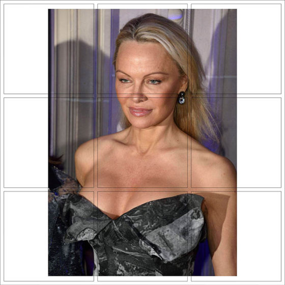 Pamela Anderson - 114