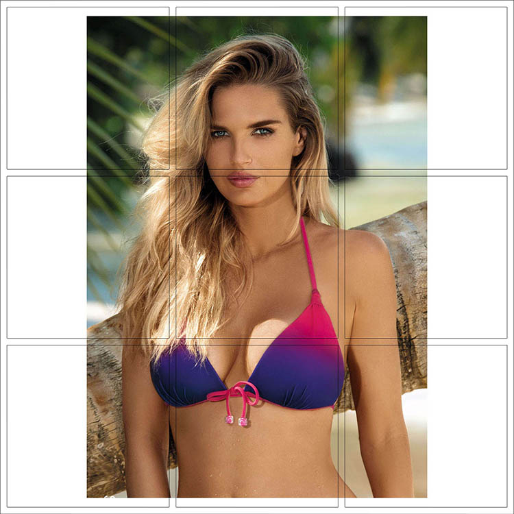Print 049