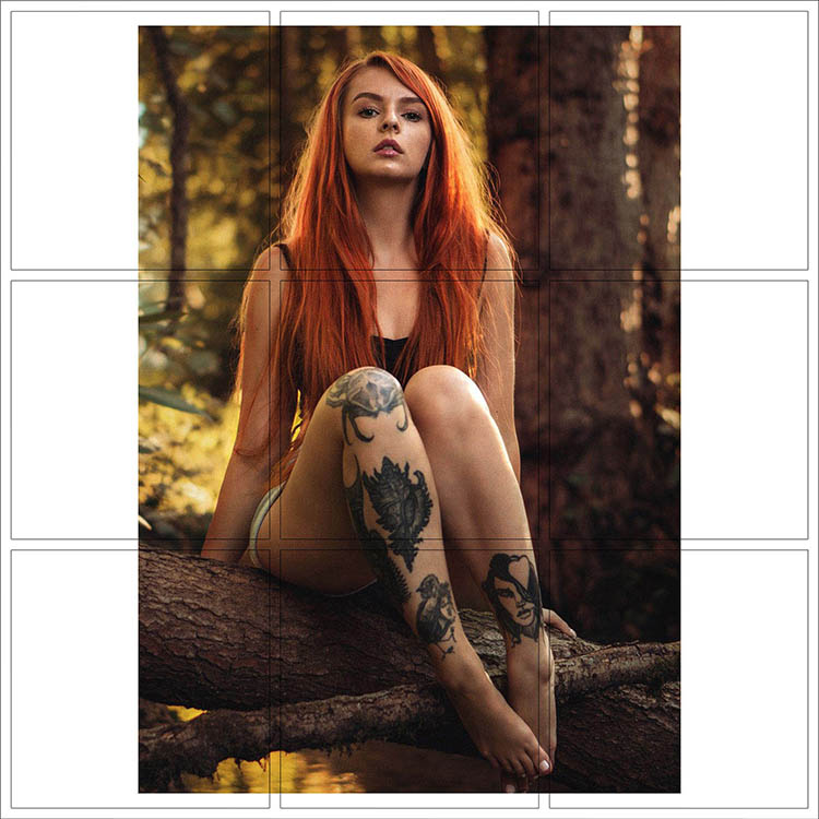 Print 017