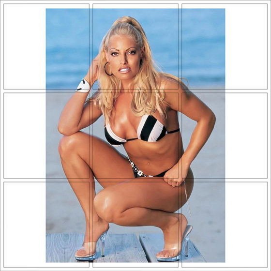 Trish Stratus - 029